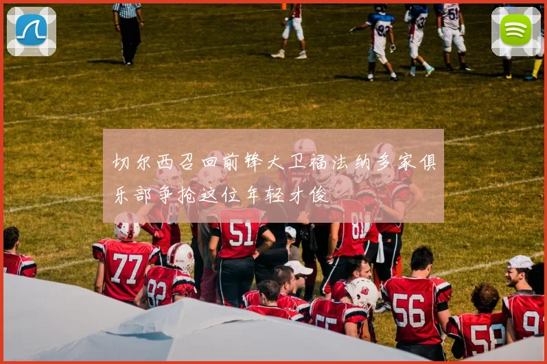 切尔西召回前锋大卫福法纳多家俱乐部争抢这位年轻才俊