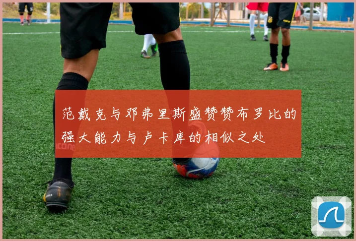 范戴克与邓弗里斯盛赞赞布罗比的强大能力与卢卡库的相似之处
